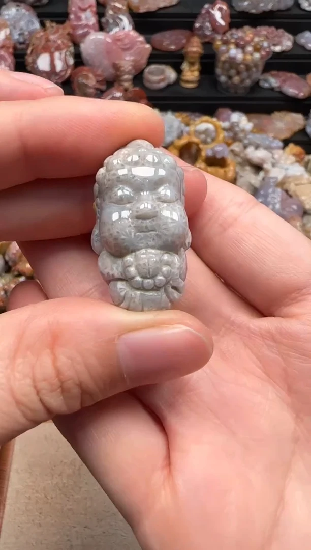 【闪购商品】硅化珊瑚（珊瑚玉）颈饰未镶嵌008