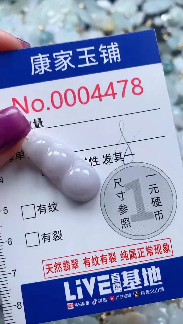 颈饰未镶嵌翡翠4478
