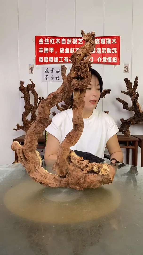 香榧木嘉****艺金丝红木   羊蹄甲