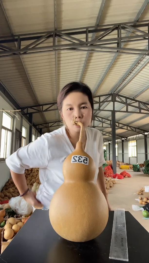 532天然葫芦摆件 一物一拍龙头不保售后