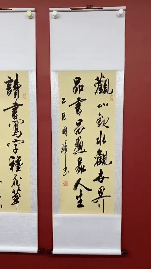 书法姚国璋   观山观水  竖轴