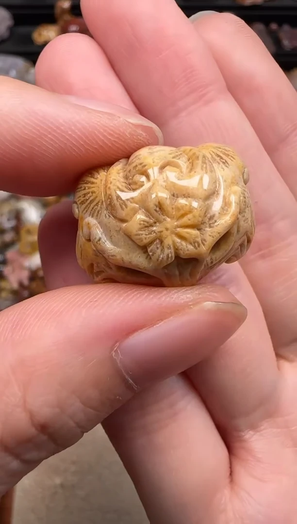 硅化珊瑚（珊瑚玉）未镶嵌颈饰492