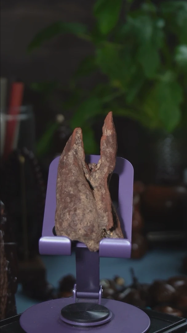 【闪购商品】降真香其他红土35克2号料