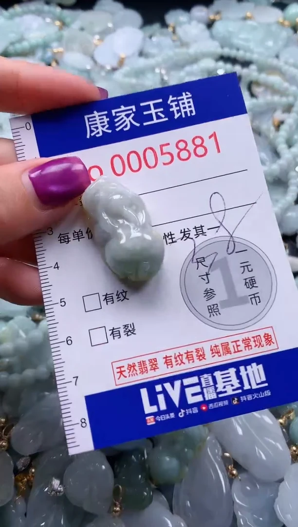 颈饰未镶嵌翡翠5881