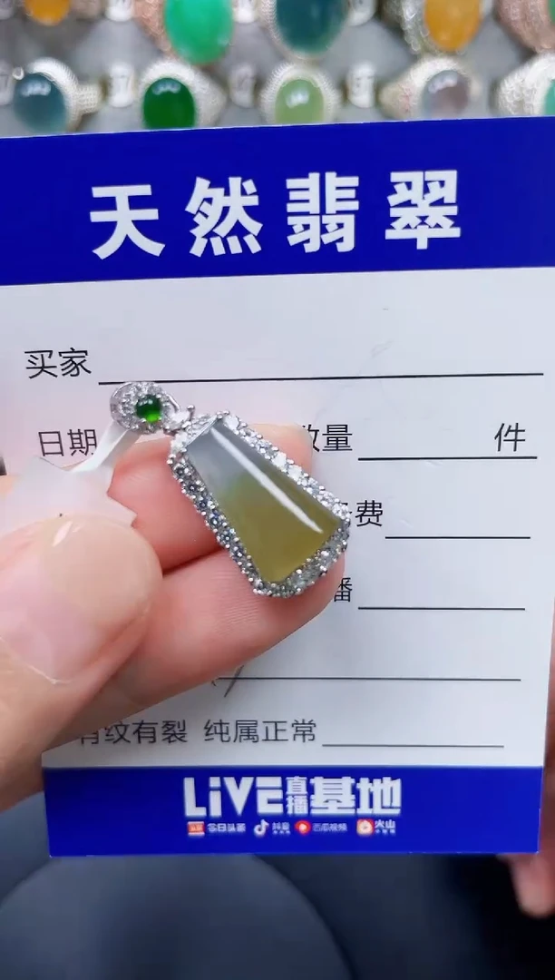 颈饰银S925镶嵌翡翠243