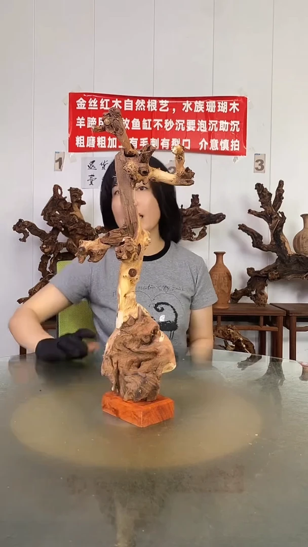 香榧木?****?金丝红木   羊蹄甲