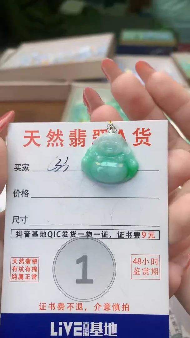 颈饰未镶嵌翡翠天然A货翡翠挂件