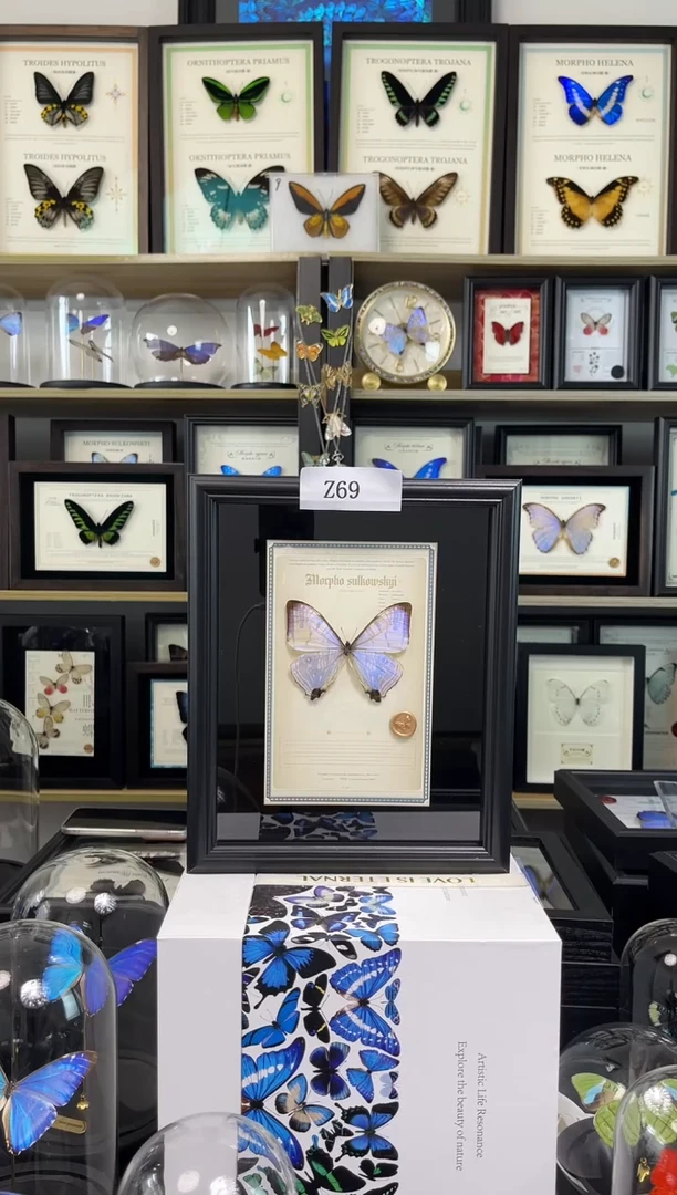 宁**房夜明珠闪蝶 -10寸悬浮设计款Z69