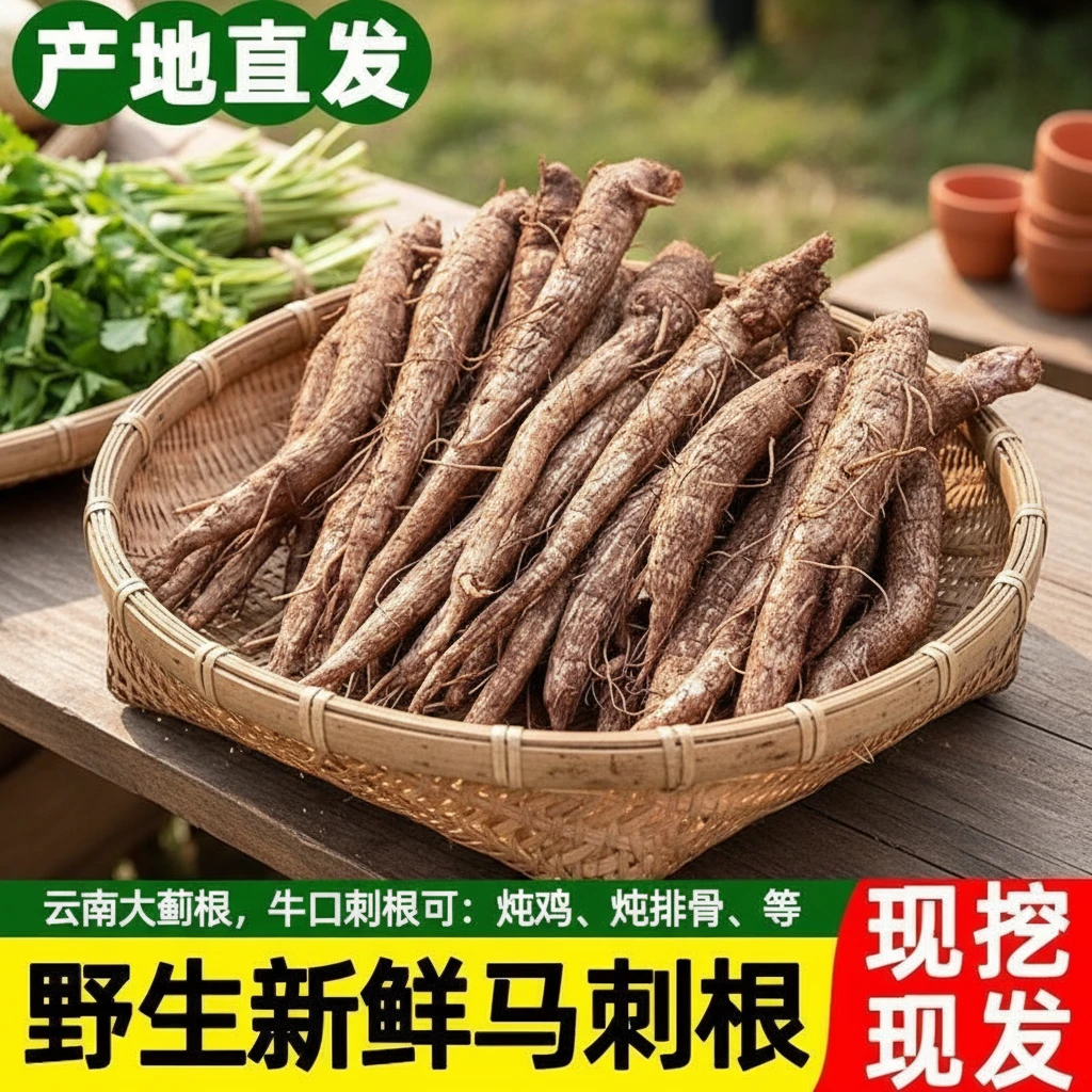 云南山货会泽高原种植马刺根带泥发货大蓟炖鸡炖肉炖排骨滋补