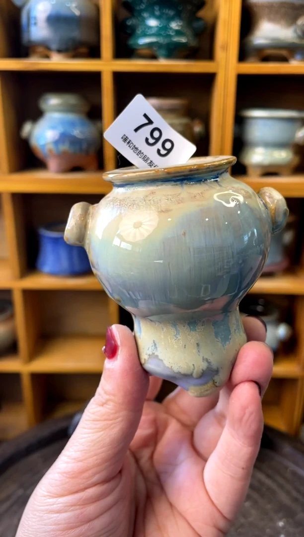 【闪购商品】陶799