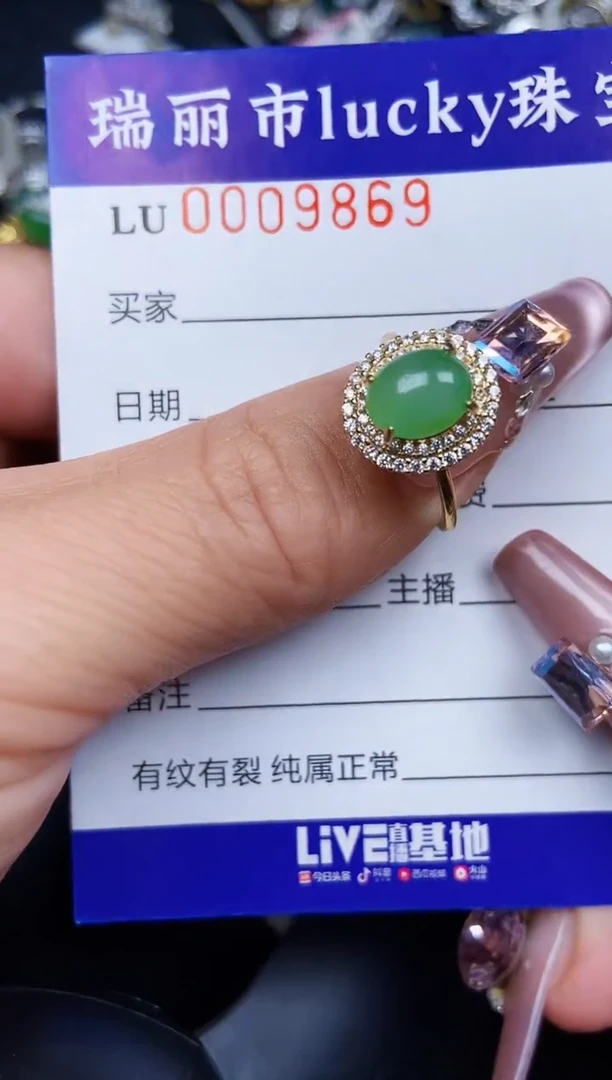 翡翠银S925镶嵌颈饰9869