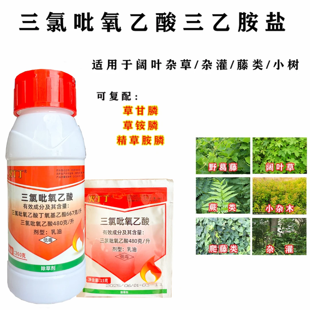 火丁丁三氯吡氧乙酸林地除草有效防除阔叶杂草藤类小灌木小杂木