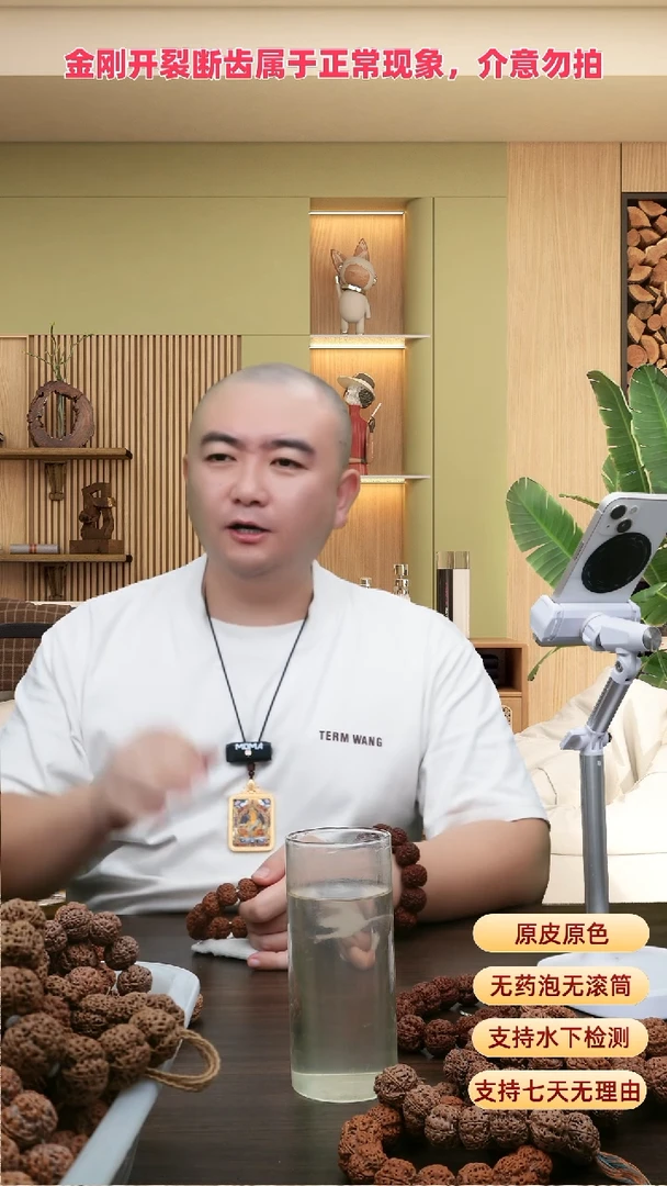 手串金刚菩提梅花1号23