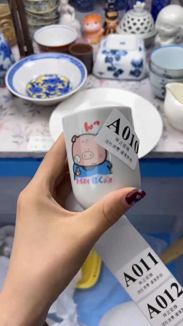 瓷片          A010