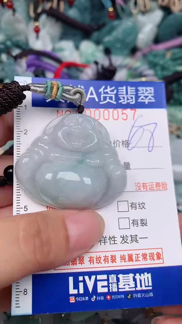 翡翠未镶嵌颈饰...0000057