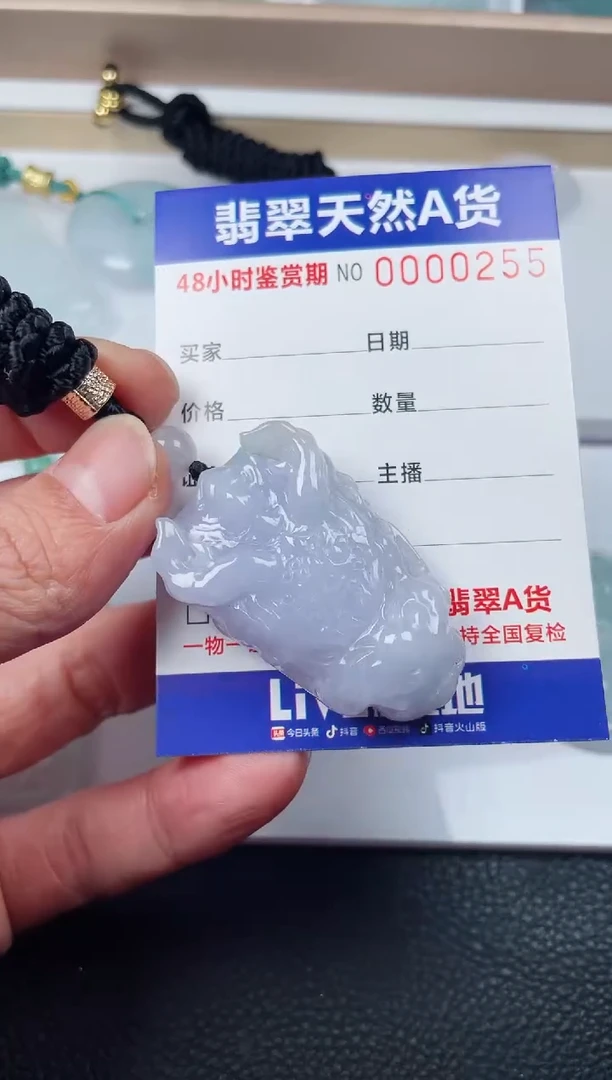 【闪购商品】翡翠颈饰未镶嵌龙