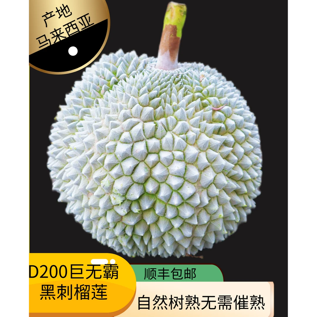【黑刺】马来西亚D200巨无霸黑刺榴莲液氮冷冻榴莲