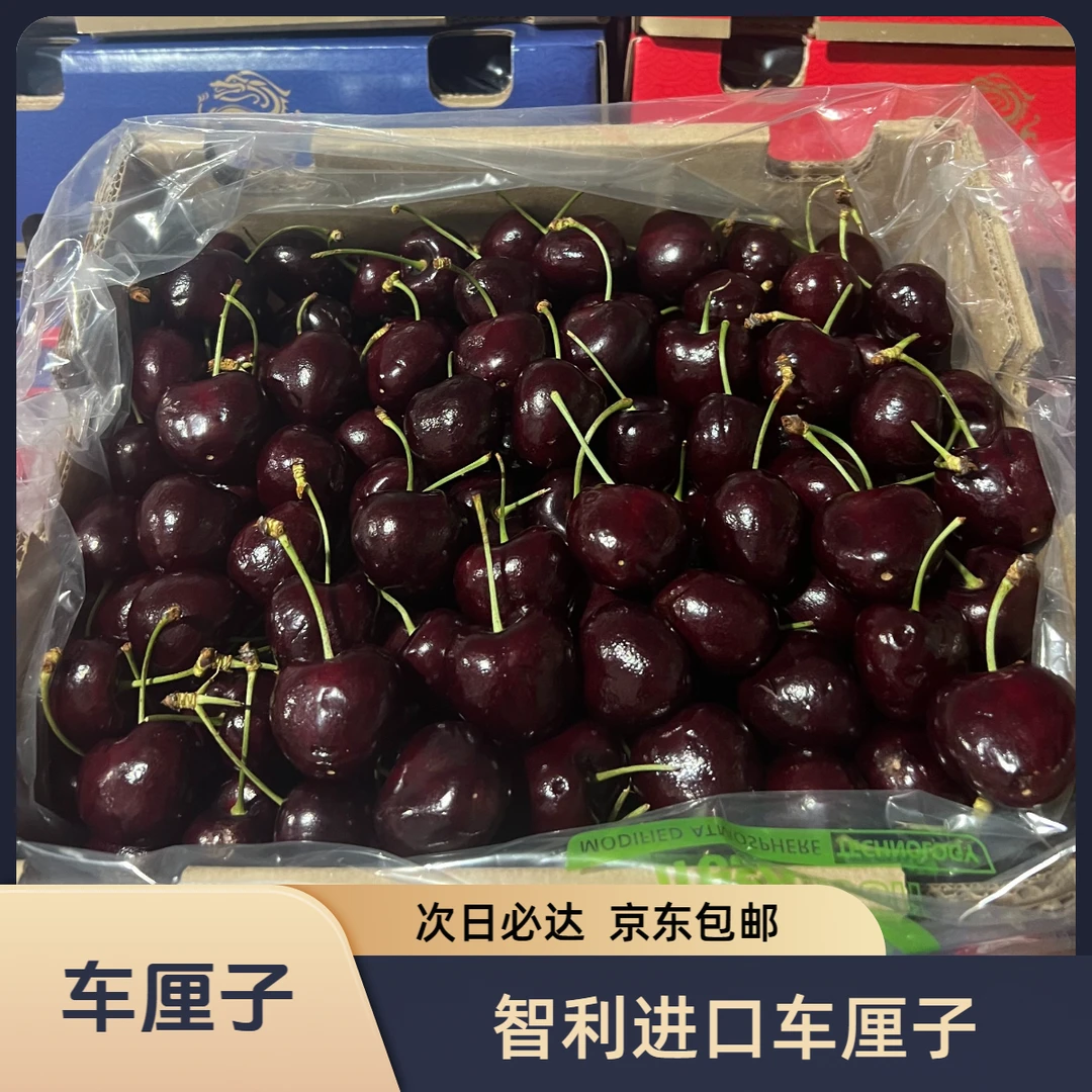 【次日达15】智利进口车厘子 J-3J  2-5斤