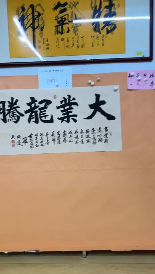 书法大业龙城作品