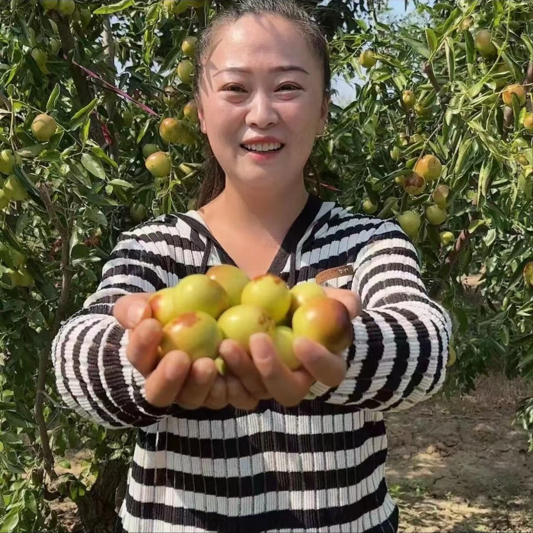 【三姐专属】山东冬枣脆甜多汁新鲜当季水果（小果）