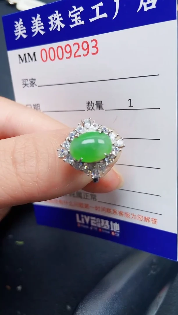 翡翠银S925镶嵌颈饰9293