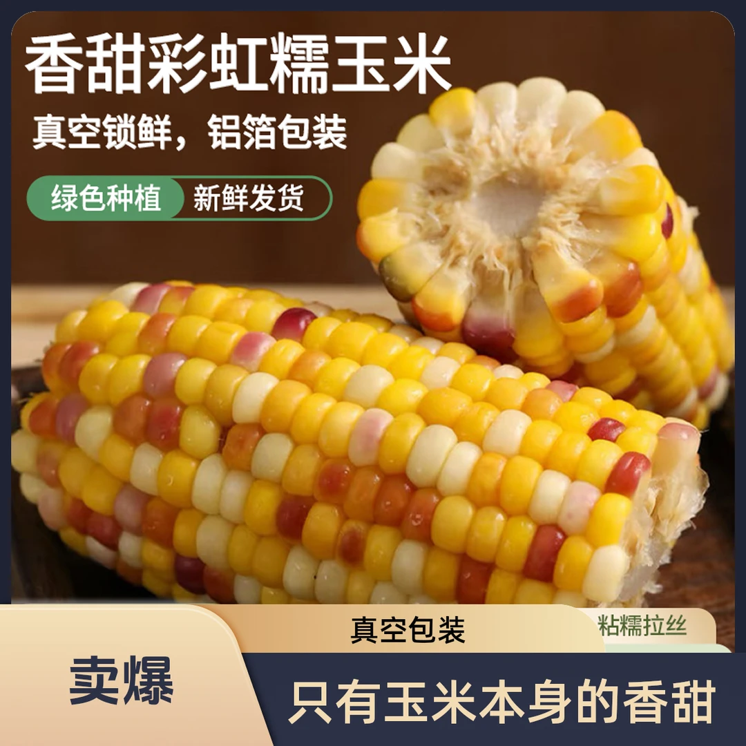 【试吃2根】五彩甜糯玉米 彩虹玉米 2025年新品 HG膜真空包装