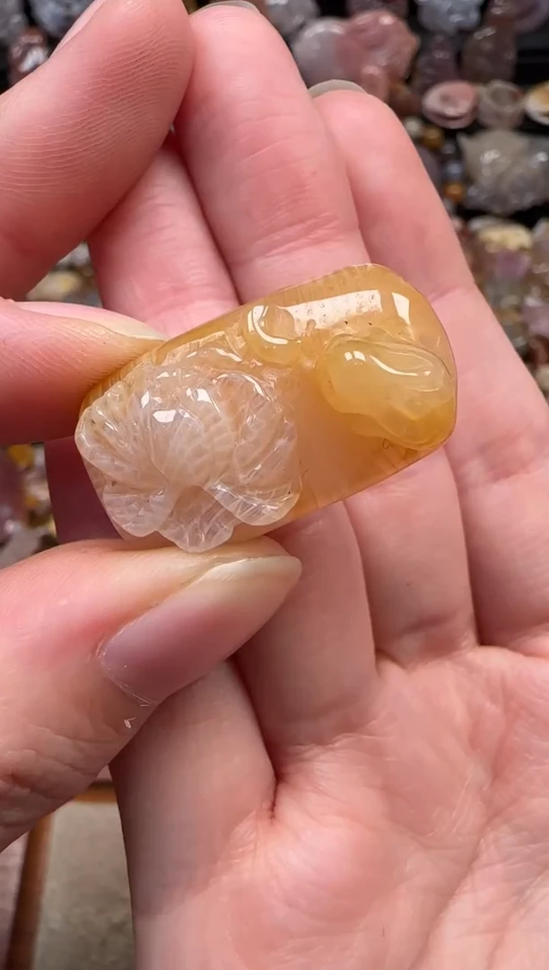 颈饰未镶嵌硅化珊瑚（珊瑚玉）669