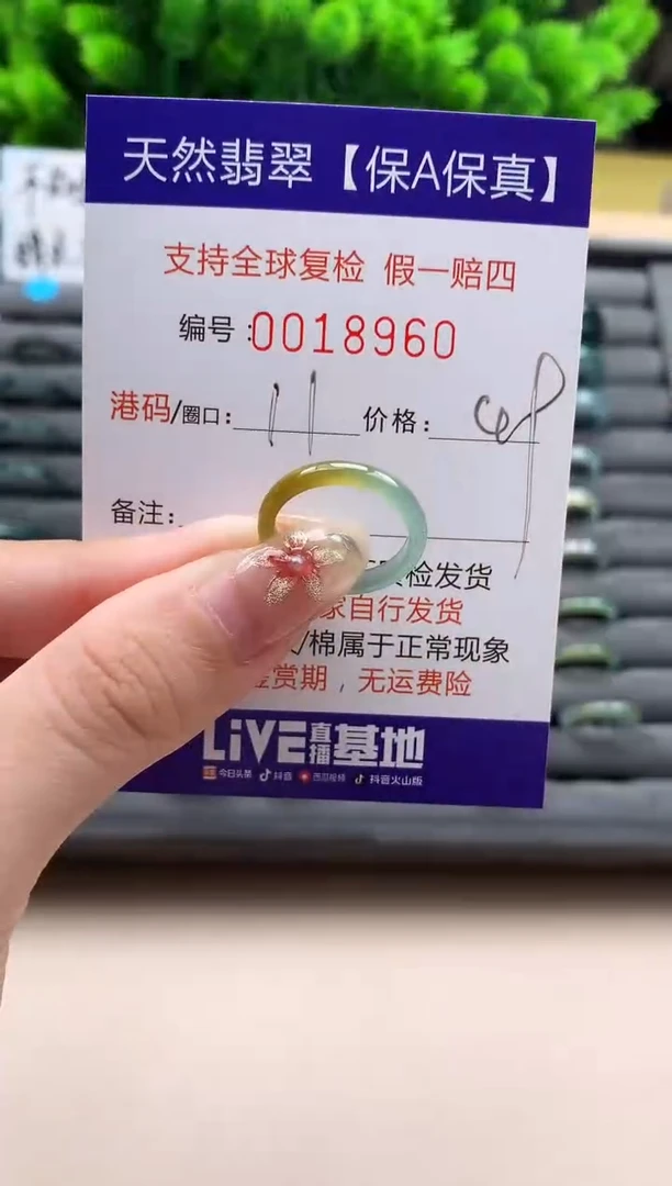 未镶嵌戒指翡翠天然  18960