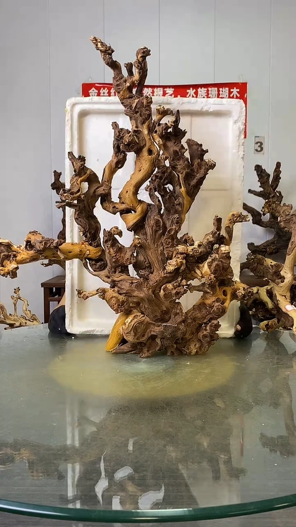 香榧木窦金丝红木   羊蹄甲