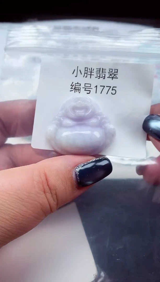 颈饰未镶嵌翡翠缅甸天然A货翡翠1775