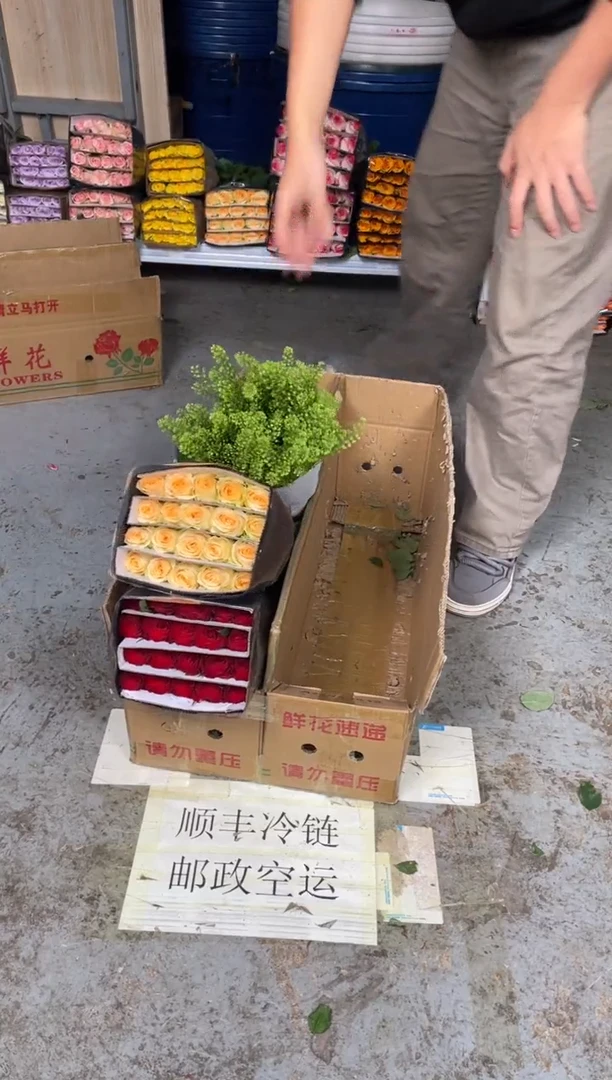 高原红2扎+香槟2扎+绿林草