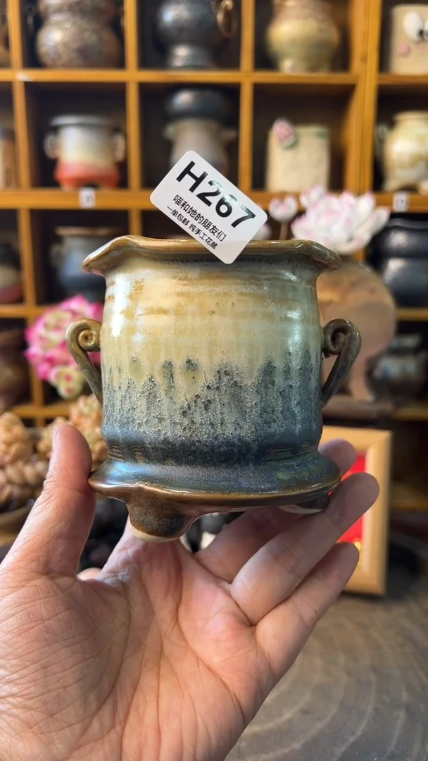 天**蓝267【多肉花盆多肉盆】