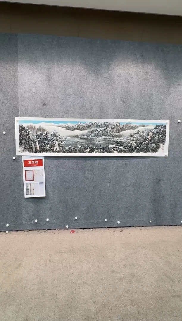 【闪购商品】国画pmw不二轩旗舰店国画WXC40