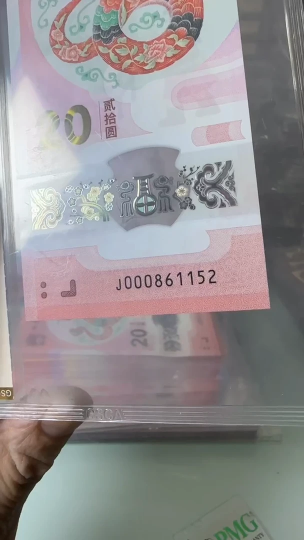 【闪购商品】塑料000861152-蛇钞单张