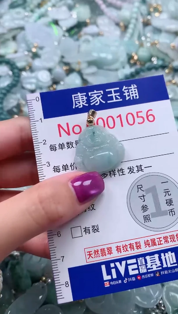 颈饰未镶嵌翡翠1056