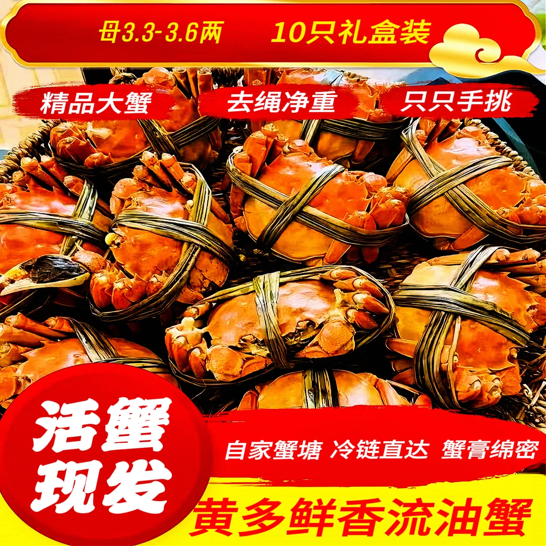 【活蟹】大闸蟹母3.3-3.6两10只装礼盒包邮到家