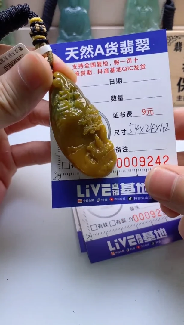 颈饰未镶嵌翡翠