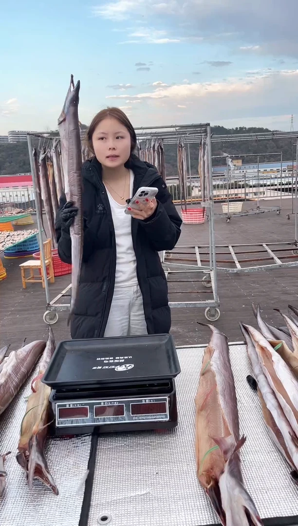 中国大陆1.7斤风鳗一条