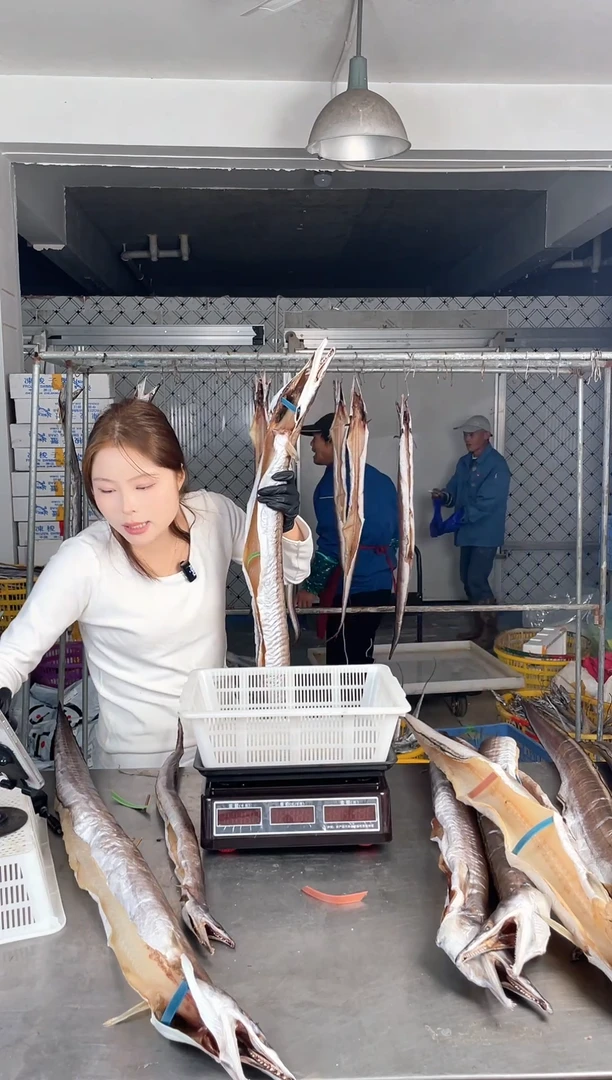 中国大陆4.2斤风鳗1条