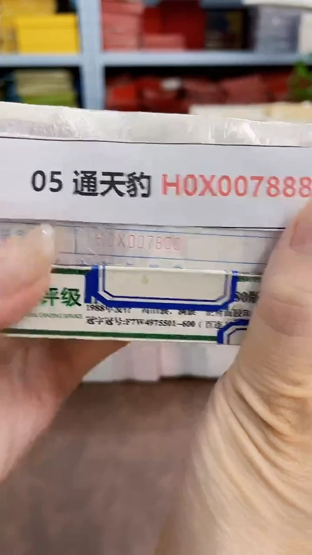 M 05 通天豹 H0X0078888