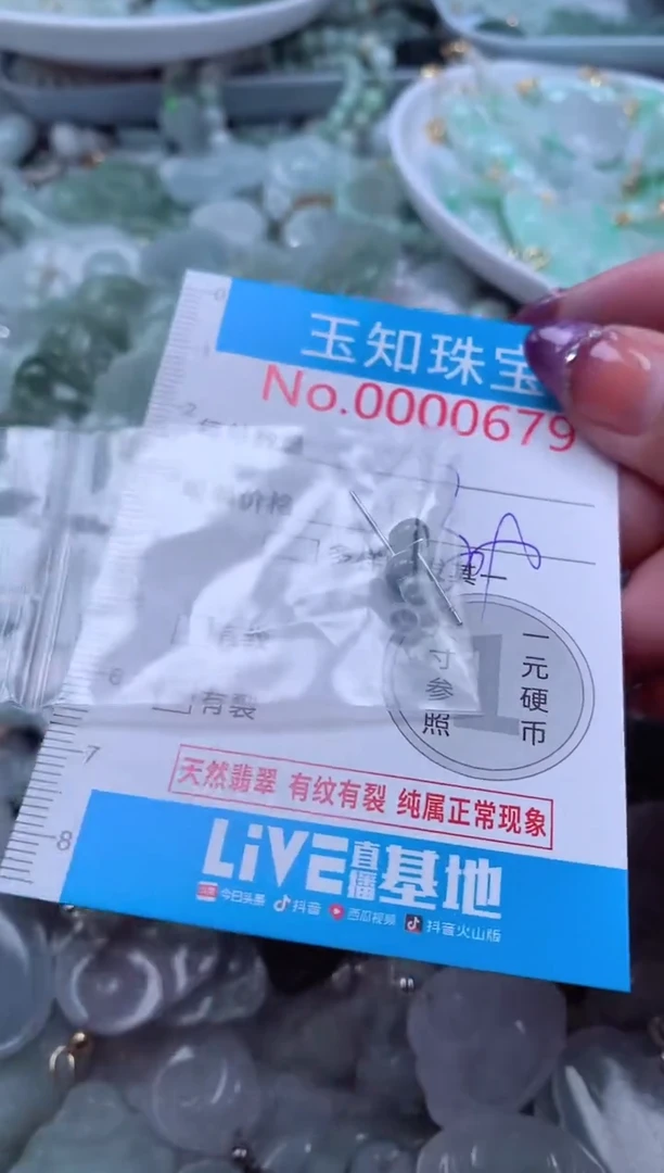 翡翠未镶嵌颈饰679