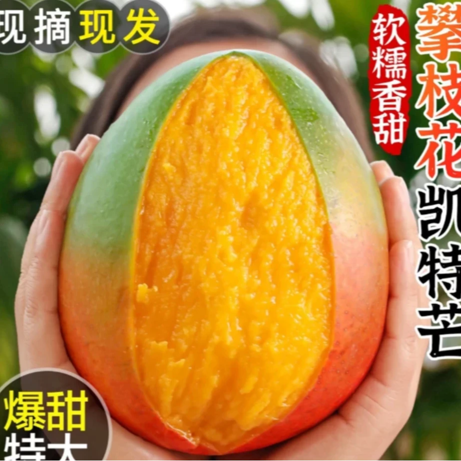 XD四川攀枝花当季头茬高山凯特芒新鲜现摘青皮芒果香甜多汁大脸芒