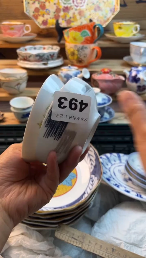 【闪购商品】瓷片瓷器          493