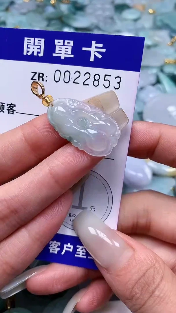 颈饰未镶嵌翡翠翡翠A货 多样性发其一（不含链）