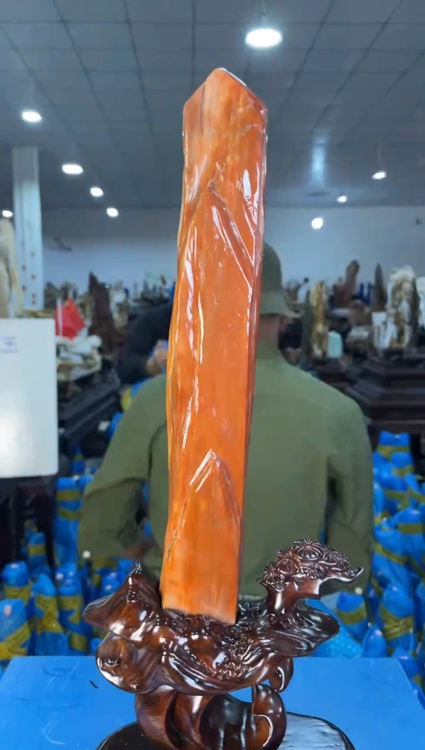 未镶嵌摆件硅化玉15