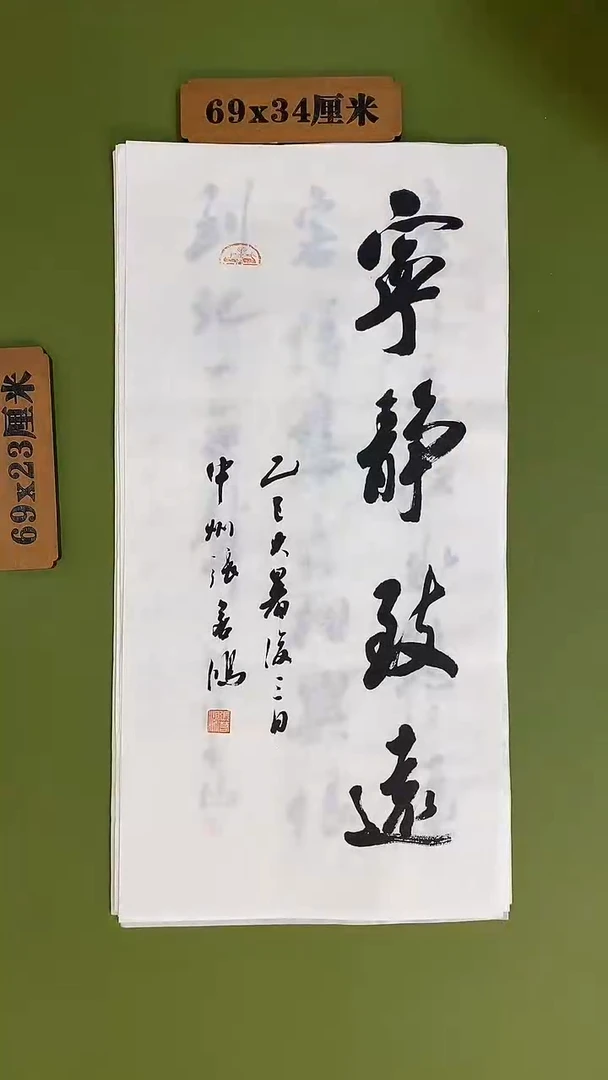 书法书法 张若鸿 尺寸69cm*34cm