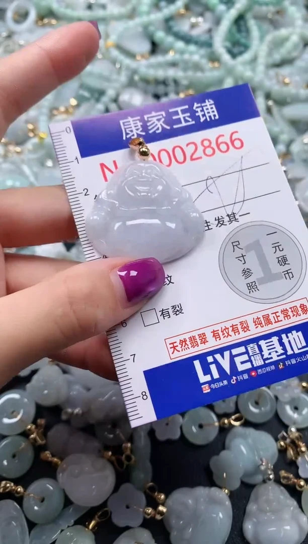 颈饰未镶嵌翡翠2866