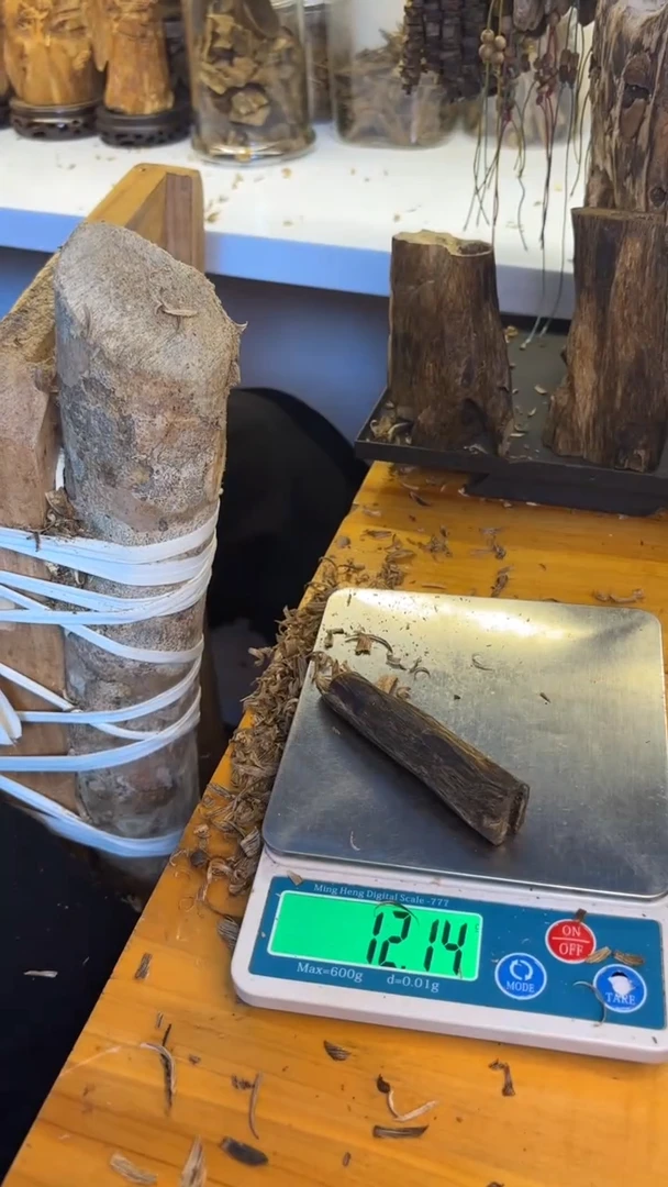 沉香沉香碎屑张勺子品种12克