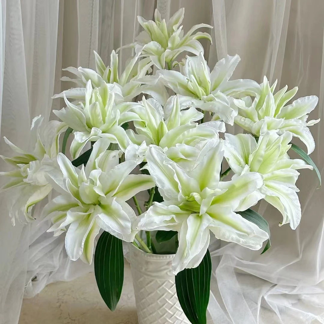 【艾莎重瓣百合】全场鲜花任意满两单升级顺丰/德邦+送保鲜剂