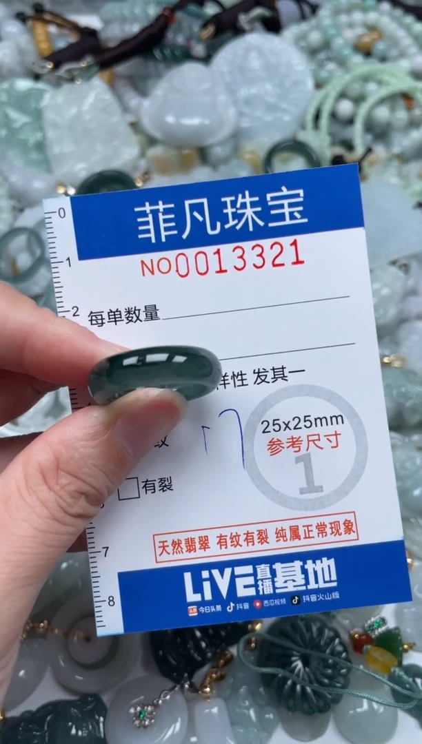 颈饰未镶嵌翡翠13321